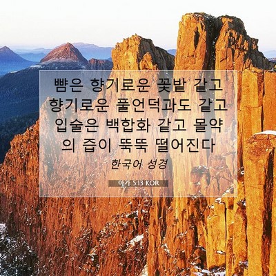 Picture 07 - 아가 5:13 KOR - 뺨은 향기로운 꽃밭 같고 향기로운 - Bible Verse Picture
