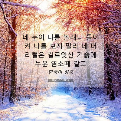 Picture 07 - 아가 6:5 KOR - 네 눈이 나를 놀래니 돌이켜 나를 - Bible Verse Picture