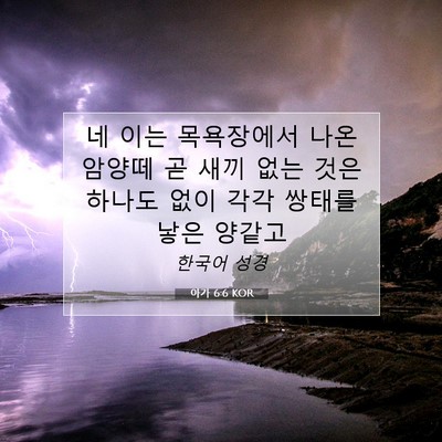 Picture 07 - 아가 6:6 KOR - 네 이는 목욕장에서 나온 암양떼 곧 - Bible Verse Picture