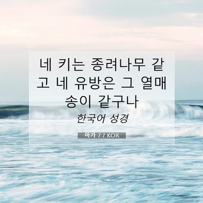 Picture 07 - 아가 7:7 KOR - 네 키는 종려나무 같고 네 유방은 그 - Bible Verse Picture