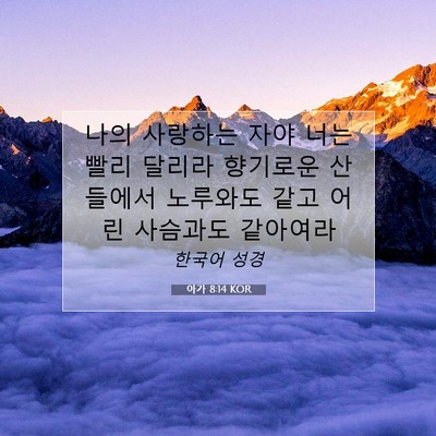 Picture 07 - 아가 8:14 KOR - 나의 사랑하는 자야 너는 빨리 - Bible Verse Picture