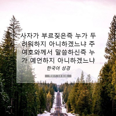 Picture 07 - 아모스 3:8 KOR - 사자가 부르짖은즉 누가 두려워하지 - Bible Verse Picture