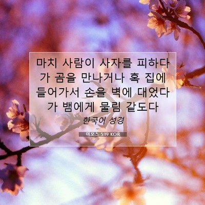 Picture 07 - 아모스 5:19 KOR - 마치 사람이 사자를 피하다가 곰을 - Bible Verse Picture