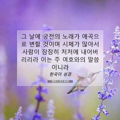 Picture 07 - 아모스 8:3 KOR - 그 날에 궁전의 노래가 애곡으로 - Bible Verse Picture