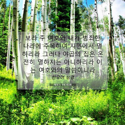 Picture 07 - 아모스 9:8 KOR - 보라 주 여호와 내가 범죄한 나라에 - Bible Verse Picture