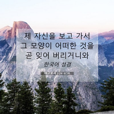 Picture 07 - 야고보서 1:24 KOR - 제 자신을 보고 가서 그 모양이 - Bible Verse Picture