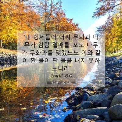 Picture 07 - 야고보서 3:12 KOR - 