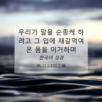 Picture 07 - 야고보서 3:3 KOR - 우리가 말을 순종케 하려고 그 입에 - Bible Verse Picture