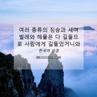 Picture 07 - 야고보서 3:7 KOR - 여러 종류의 짐승과 새며 벌레와 - Bible Verse Picture