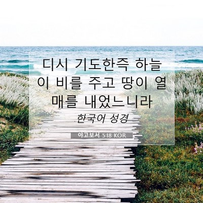 Picture 07 - 야고보서 5:18 KOR - 디시 기도한즉 하늘이 비를 주고 - Bible Verse Picture
