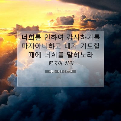 Picture 07 - 에베소서 1:16 KOR - 너희를 인하여 감사하기를 - Bible Verse Picture