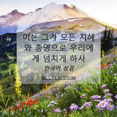 Picture 07 - 에베소서 1:8 KOR - 이는 그가 모든 지혜와 총명으로 - Bible Verse Picture