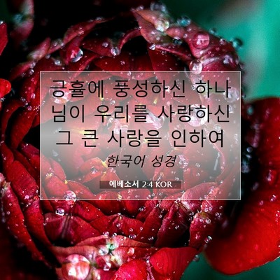 Picture 07 - 에베소서 2:4 KOR - 긍휼에 풍성하신 하나님이 우리를 - Bible Verse Picture