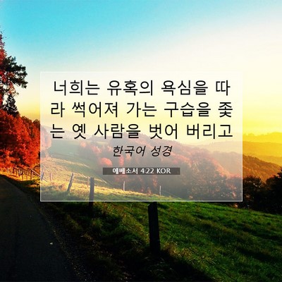 Picture 07 - 에베소서 4:22 KOR - 너희는 유혹의 욕심을 따라 썩어져 - Bible Verse Picture