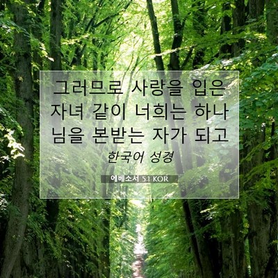 Picture 07 - 에베소서 5:1 KOR - 그러므로 사랑을 입은 자녀 같이 - Bible Verse Picture