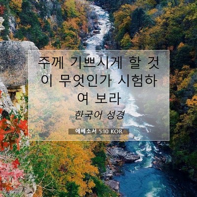 Picture 07 - 에베소서 5:10 KOR - 주께 기쁘시게 할 것이 무엇인가 - Bible Verse Picture