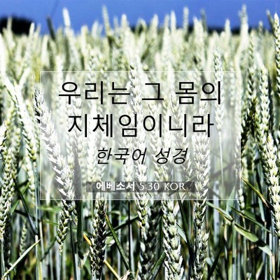 Picture 07 - 에베소서 5:30 KOR - 우리는 그 몸의 - Bible Verse Picture