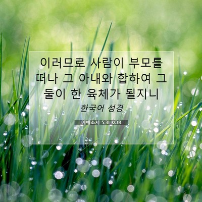 Picture 07 - 에베소서 5:31 KOR - 이러므로 사람이 부모를 떠나 그 - Bible Verse Picture