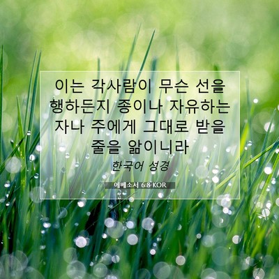 Picture 07 - 에베소서 6:8 KOR - 이는 각사람이 무슨 선을 행하든지 - Bible Verse Picture