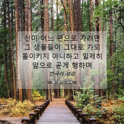 Picture 07 - 에스겔 1:12 KOR - 신이 어느 편으로 가려면 그 - Bible Verse Picture