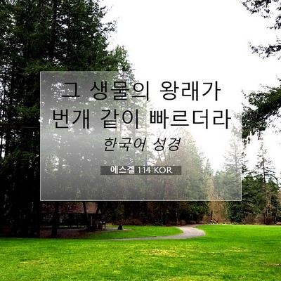 Picture 07 - 에스겔 1:14 KOR - 그 생물의 왕래가 번개 같이 - Bible Verse Picture