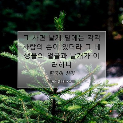 Picture 07 - 에스겔 1:8 KOR - 그 사면 날개 밑에는 각각 사람의 - Bible Verse Picture