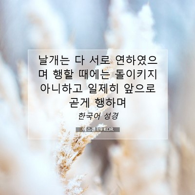 Picture 07 - 에스겔 1:9 KOR - 날개는 다 서로 연하였으며 행할 - Bible Verse Picture