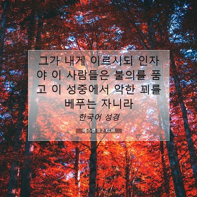 Picture 07 - 에스겔 11:2 KOR - 그가 내게 이르시되 인자야 이 - Bible Verse Picture