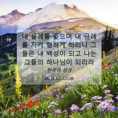 Picture 07 - 에스겔 11:20 KOR - 내 율례를 좇으며 내 규례를 지켜 - Bible Verse Picture