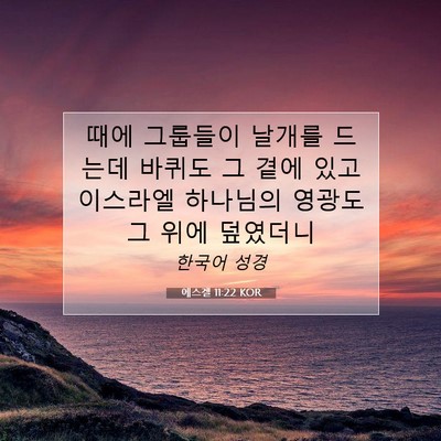 Picture 07 - 에스겔 11:22 KOR - 때에 그룹들이 날개를 드는데 바퀴도 - Bible Verse Picture