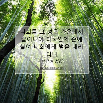 Picture 07 - 에스겔 11:9 KOR - 너희를 그 성읍 가운데서 끌어내어 - Bible Verse Picture