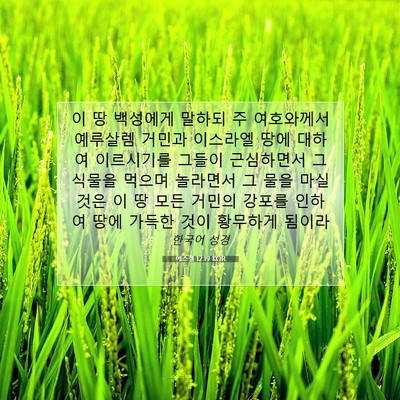 Picture 07 - 에스겔 12:19 KOR - 이 땅 백성에게 말하되 주 - Bible Verse Picture