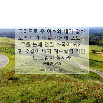 Picture 07 - 에스겔 15:6 KOR - 그러므로 주 여호와 내가 말하노라 - Bible Verse Picture