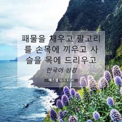 Picture 07 - 에스겔 16:11 KOR - 패물을 채우고 팔고리를 손목에 - Bible Verse Picture