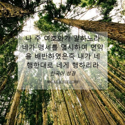Picture 07 - 에스겔 16:59 KOR - 나 주 여호와가 말하노라 네가 - Bible Verse Picture