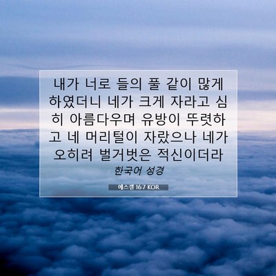 Picture 07 - 에스겔 16:7 KOR - 내가 너로 들의 풀 같이 많게 - Bible Verse Picture