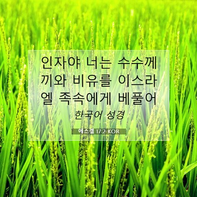 Picture 07 - 에스겔 17:2 KOR - 인자야 너는 수수께끼와 비유를 - Bible Verse Picture