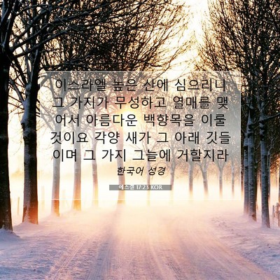 Picture 07 - 에스겔 17:23 KOR - 이스라엘 높은 산에 심으리니 그 - Bible Verse Picture