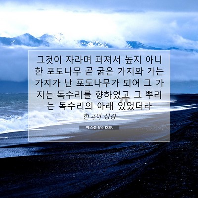 Picture 07 - 에스겔 17:6 KOR - 그것이 자라며 퍼져서 높지 아니한 - Bible Verse Picture