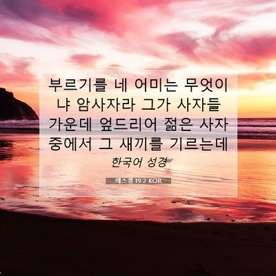 Picture 07 - 에스겔 19:2 KOR - 부르기를 네 어미는 무엇이냐 - Bible Verse Picture