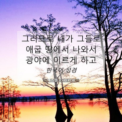 Picture 07 - 에스겔 20:10 KOR - 그러므로 내가 그들로 애굽 땅에서 - Bible Verse Picture