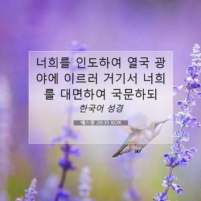 Picture 07 - 에스겔 20:35 KOR - 너희를 인도하여 열국 광야에 이르러 - Bible Verse Picture