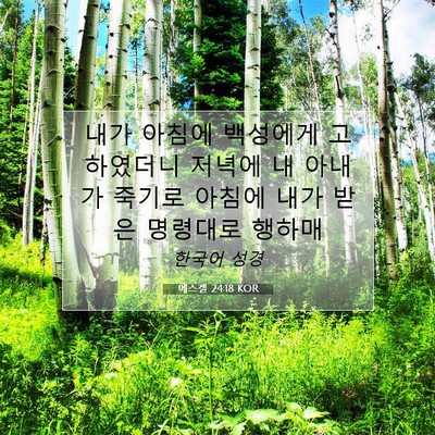 Picture 07 - 에스겔 24:18 KOR - 내가 아침에 백성에게 고하였더니 - Bible Verse Picture