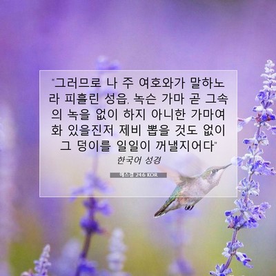 Picture 07 - 에스겔 24:6 KOR - 
