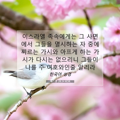 Picture 07 - 에스겔 28:24 KOR - 이스라엘 족속에게는 그 사면에서 - Bible Verse Picture