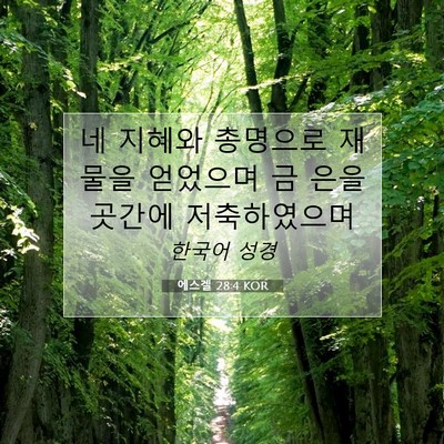 Picture 07 - 에스겔 28:4 KOR - 네 지혜와 총명으로 재물을 얻었으며 - Bible Verse Picture