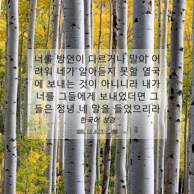 Picture 07 - 에스겔 3:6 KOR - 너를 방언이 다르거나 말이 어려워 - Bible Verse Picture