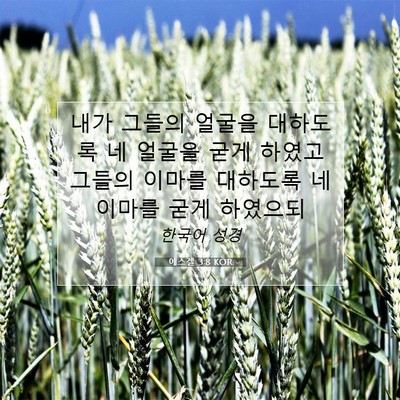 Picture 07 - 에스겔 3:8 KOR - 내가 그들의 얼굴을 대하도록 네 - Bible Verse Picture