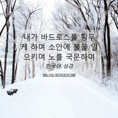 Picture 07 - 에스겔 30:14 KOR - 내가 바드로스를 황무케 하며 소안에 - Bible Verse Picture