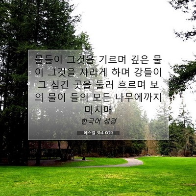 Picture 07 - 에스겔 31:4 KOR - 물들이 그것을 기르며 깊은 물이 - Bible Verse Picture